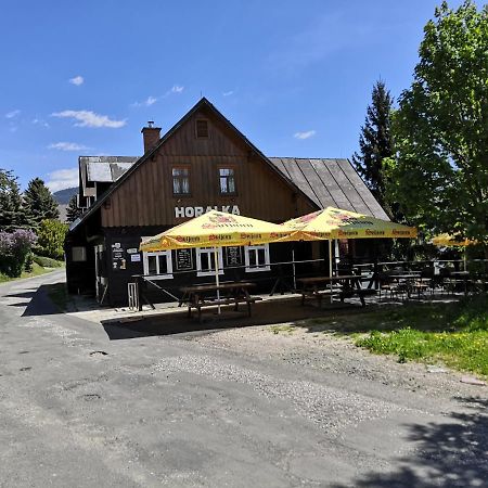 Pension Horalka 206 Rokytnice nad Jizerou Exteriér fotografie